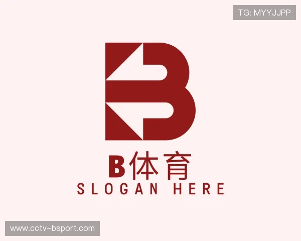 解读b体育